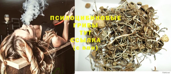гашик Волосово