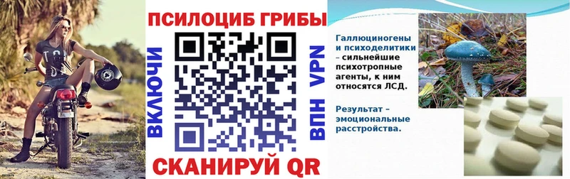 Псилоцибиновые грибы Cubensis  Павлово 